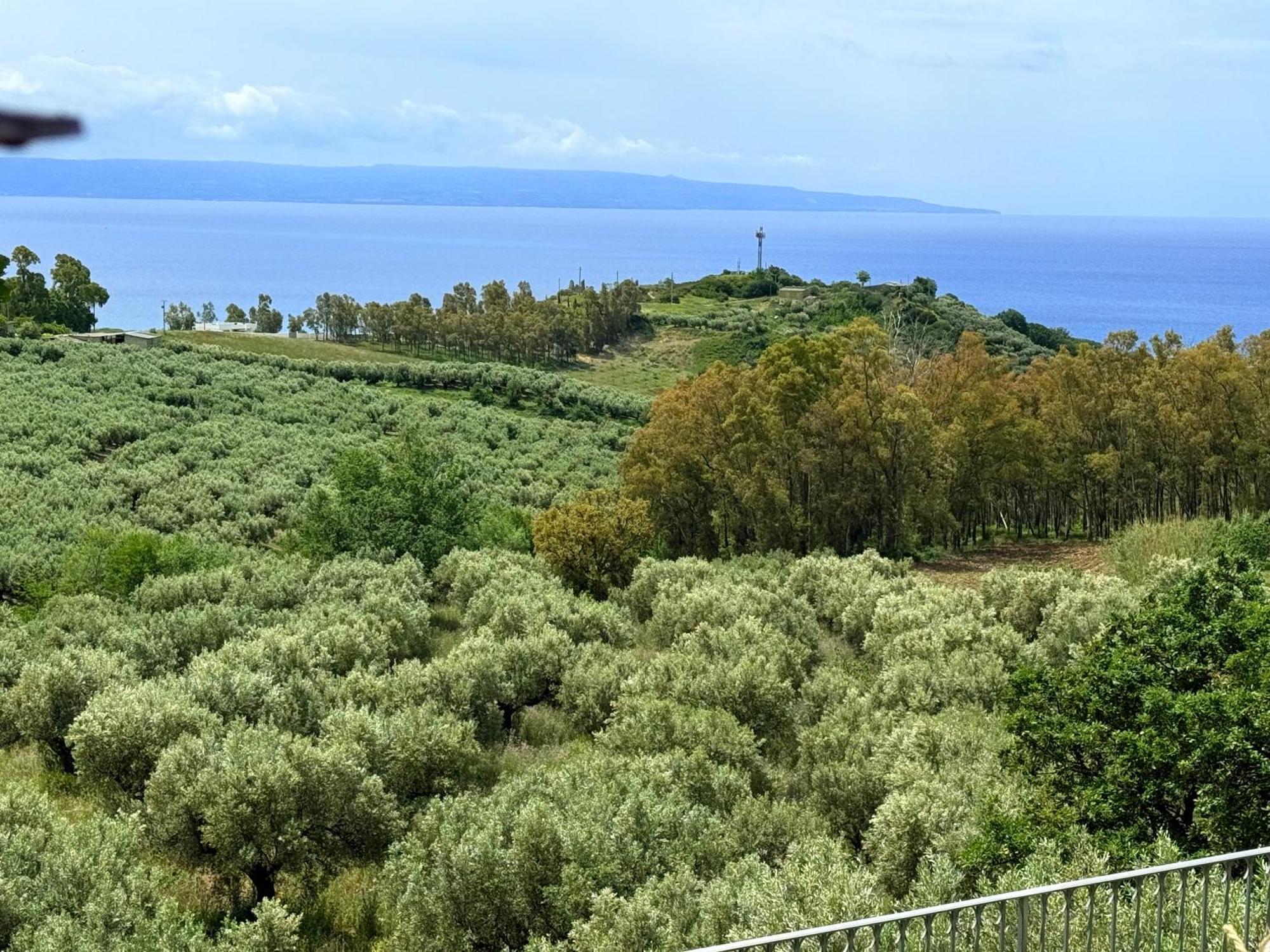ジッツェリーア Casale Calabria Bed & Breakfast エクステリア 写真